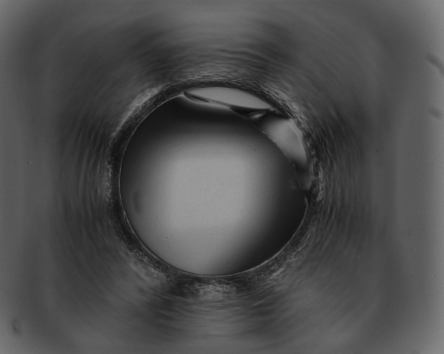 X0000092310400200710051242