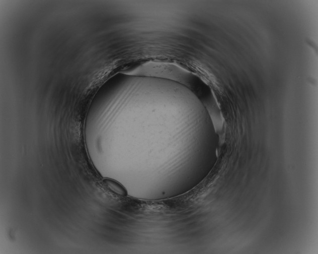 X0000092310401200710051242