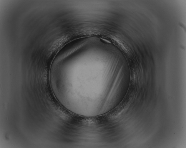 X0000092310402200710051242