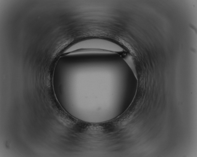 X0000092310403200710051242