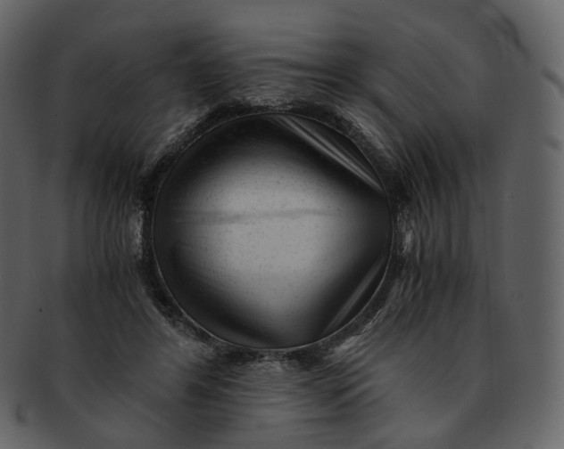 X0000092310404200710051242