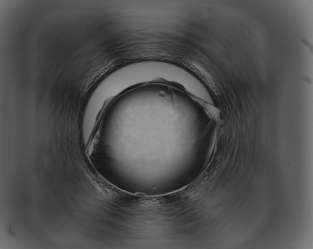 X0000092310405200710051242