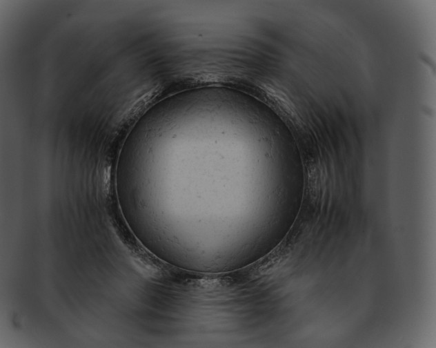 X0000092310406200710051242