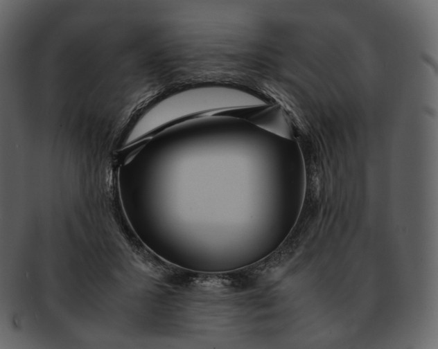 X0000092310407200710051242