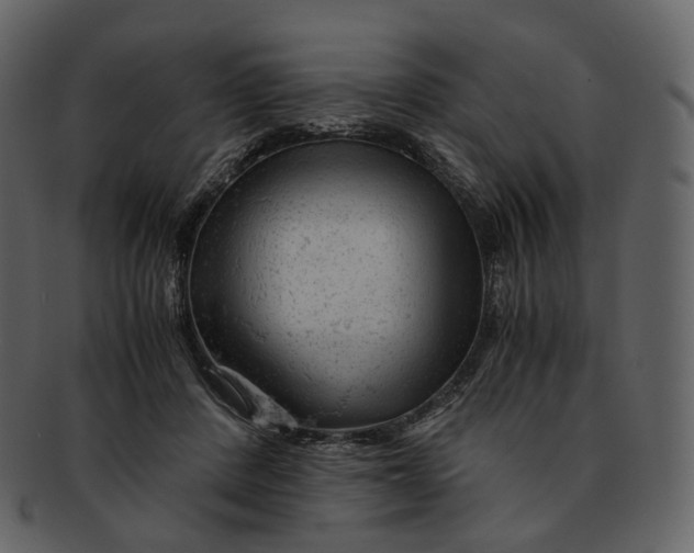X0000092310408200710051242