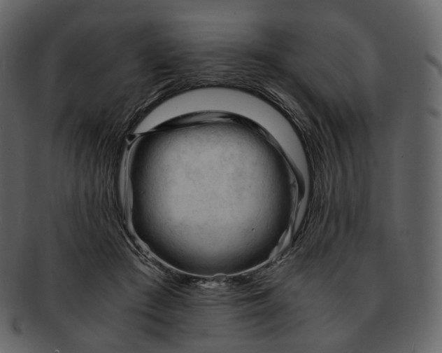 X0000092310409200710051242