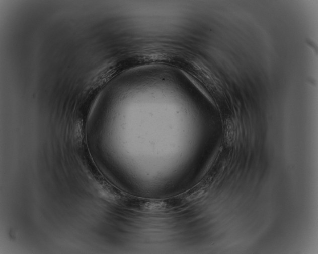X0000092310410200710051242