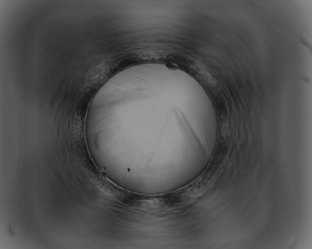 X0000092310411200710051242