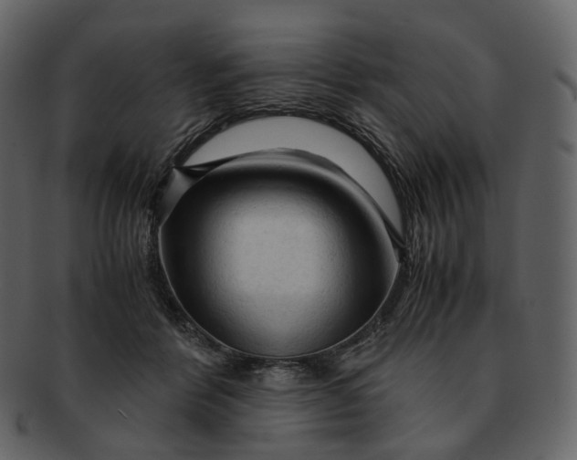 X0000092310412200710051242