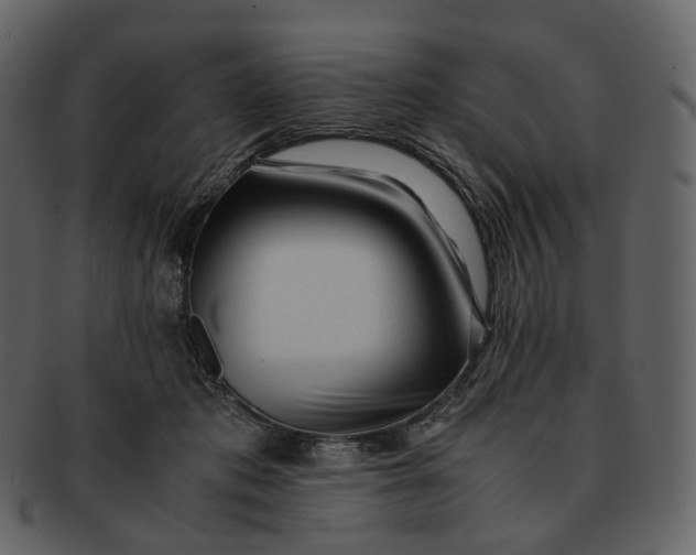 X0000092310413200710051242