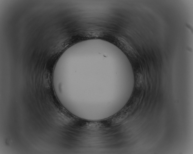 X0000092310414200710051242