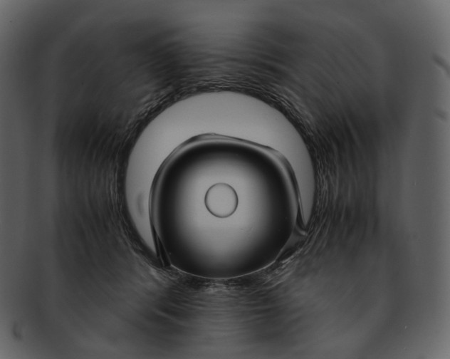 X0000092310416200710051242