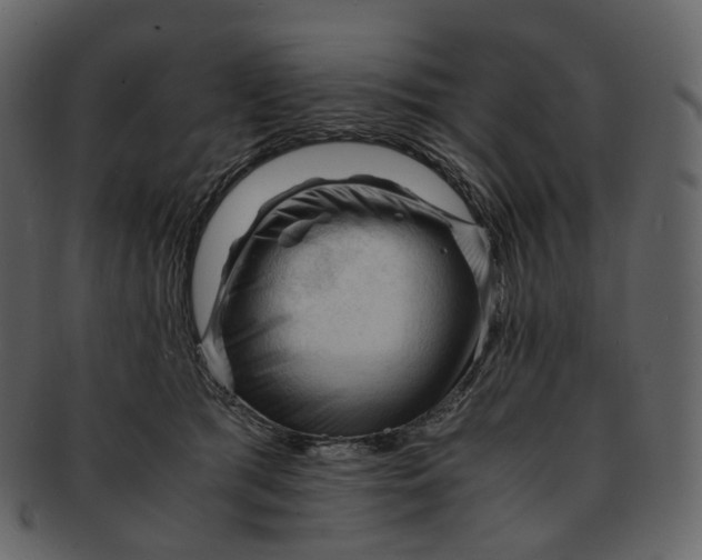 X0000092310417200710051242