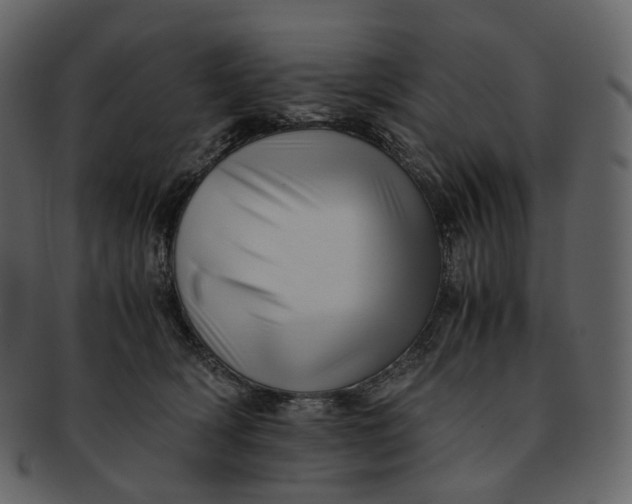 X0000092310418200710051242