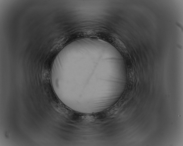 X0000092310419200710051242