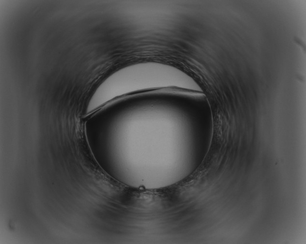 X0000092310420200710051242
