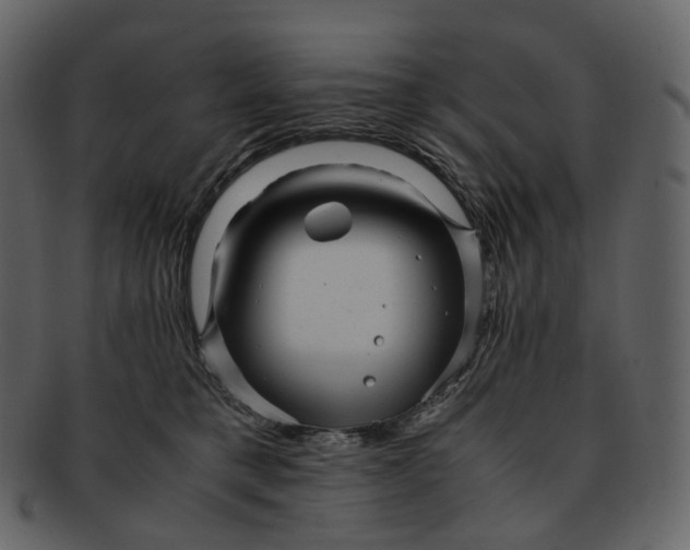 X0000092310421200710051242