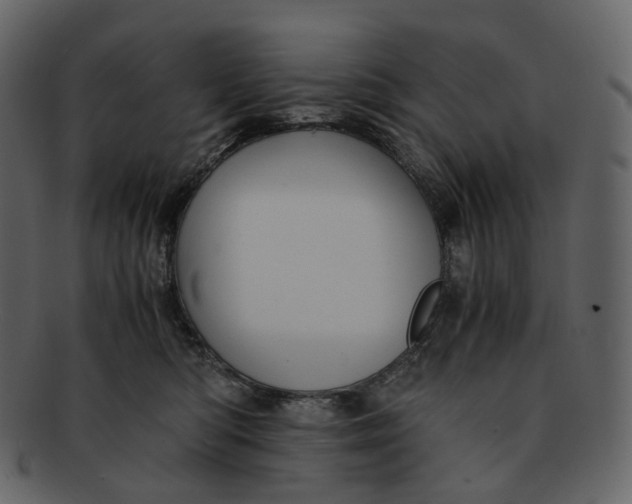 X0000092310422200710051242