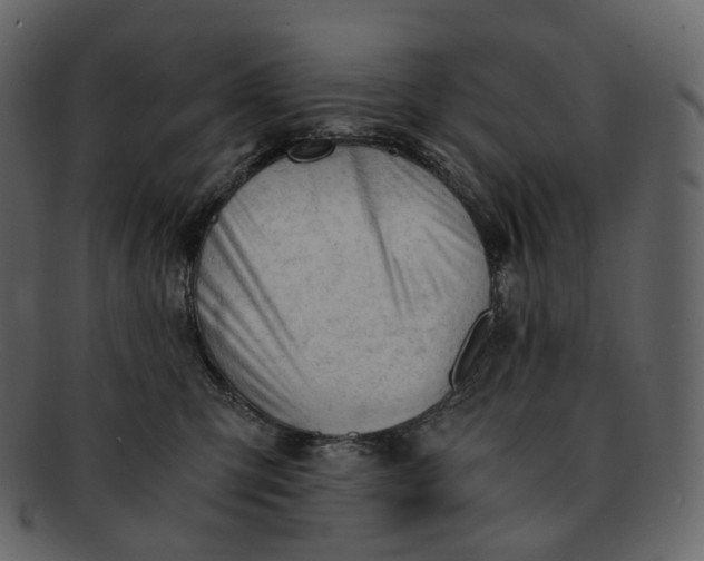 X0000092310423200710051242