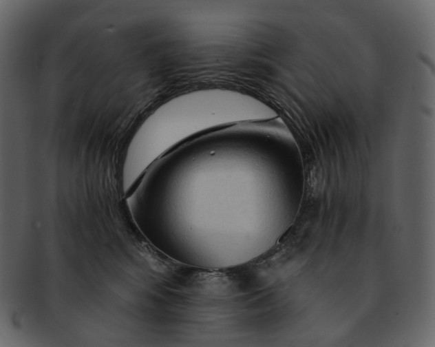 X0000092310424200710051242