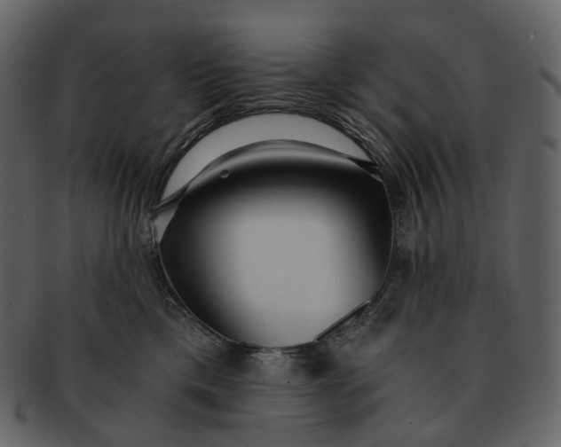 X0000092310425200710051242