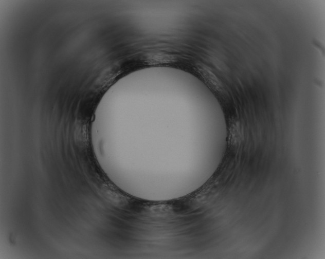 X0000092310426200710051242