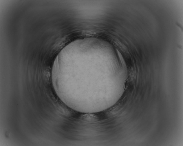 X0000092310427200710051242