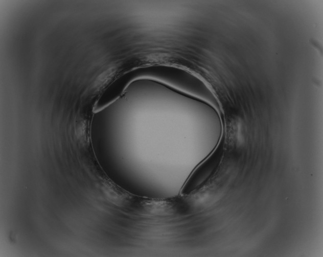 X0000092310428200710051242