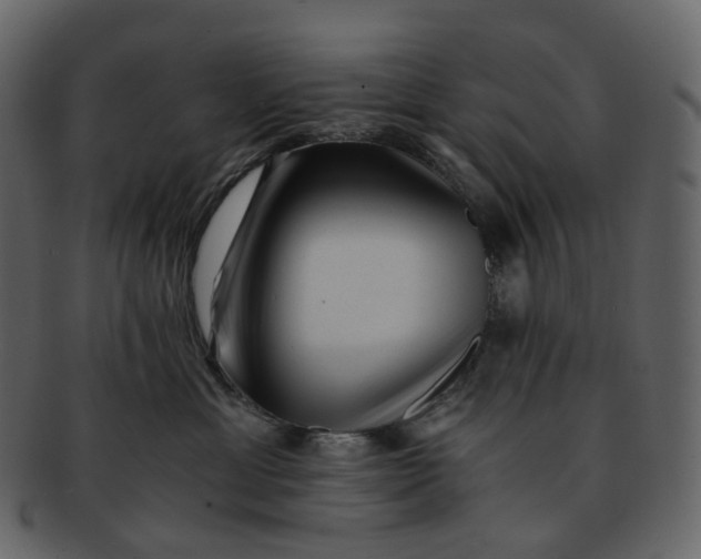 X0000092310429200710051242