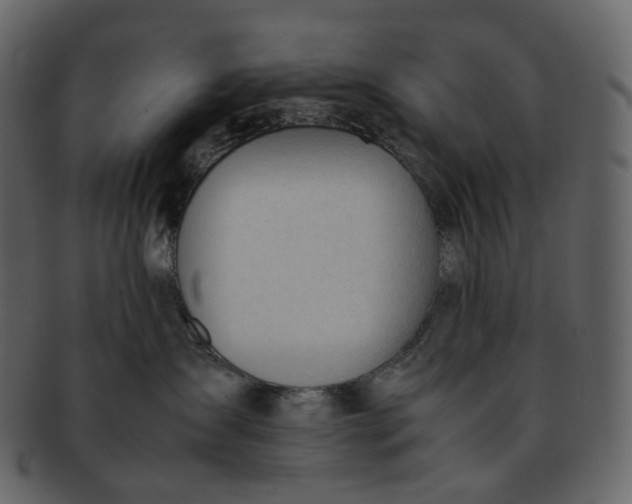 X0000092310431200710051242