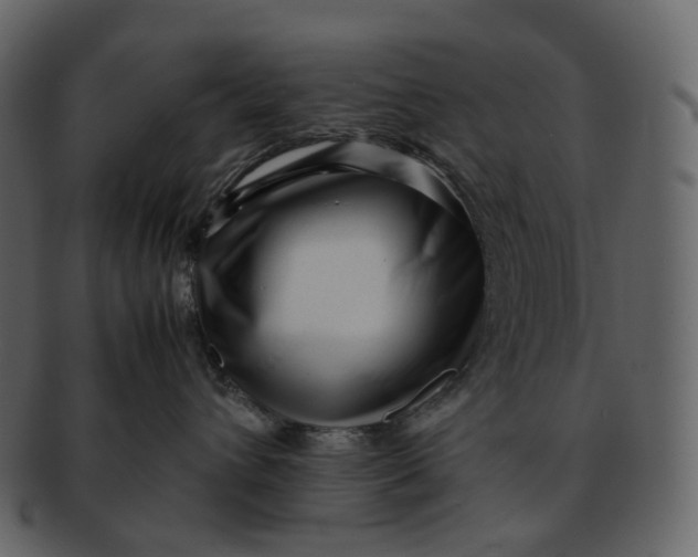 X0000092310432200710051242