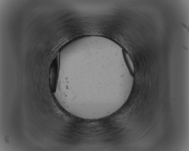 X0000092310433200710051241