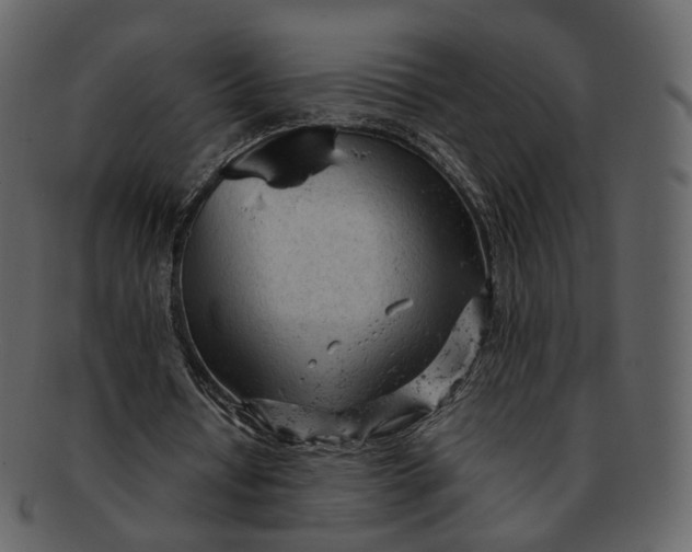 X0000092310434200710051241