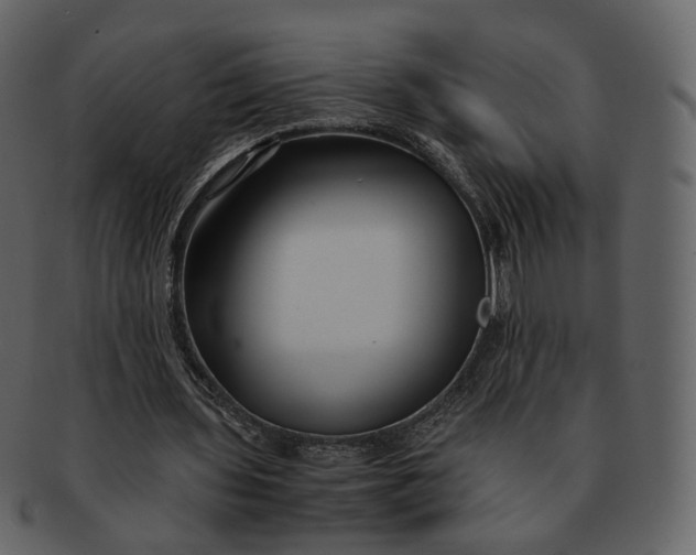 X0000092310435200710051241