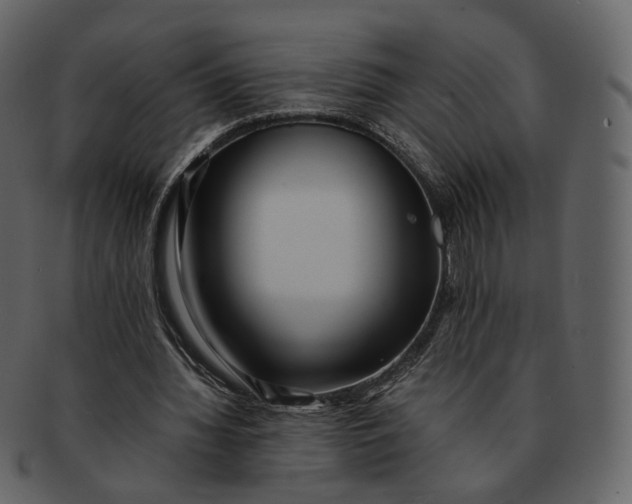 X0000092310436200710051241