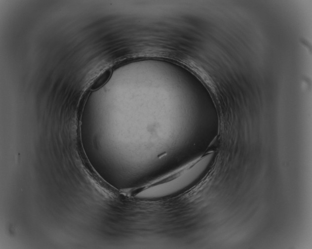 X0000092310437200710051241