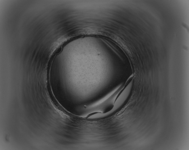 X0000092310438200710051241
