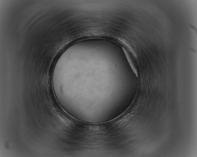 X0000092310439200710051241