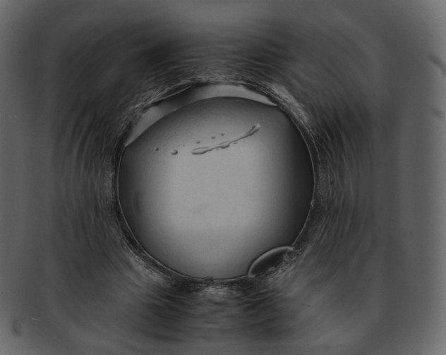 X0000092310441200710051241