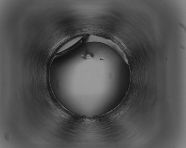 X0000092310442200710051241