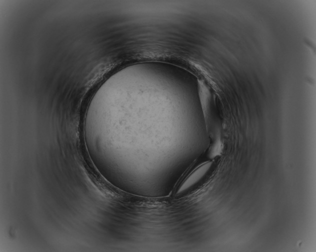 X0000092310443200710051241