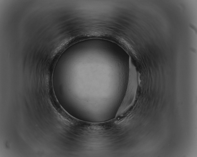 X0000092310444200710051241