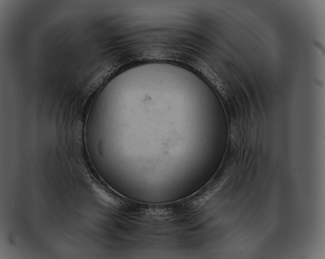 X0000092310445200710051241