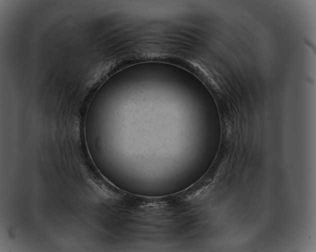 X0000092310447200710051241