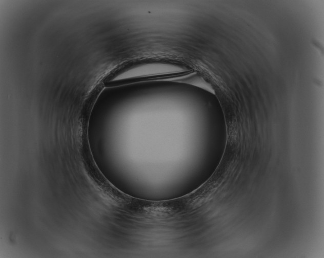 X0000092310448200710051241