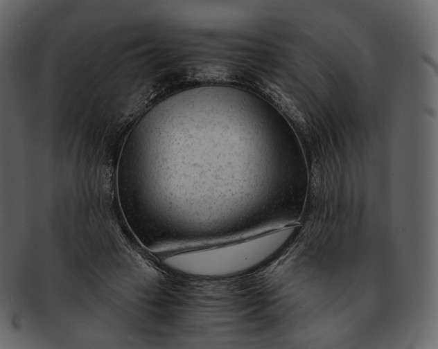 X0000092310449200710051241