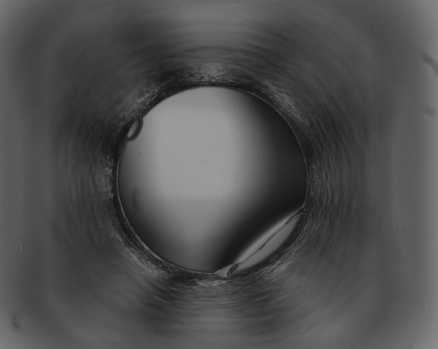 X0000092310450200710051241
