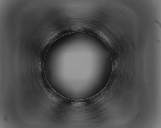 X0000092310452200710051241