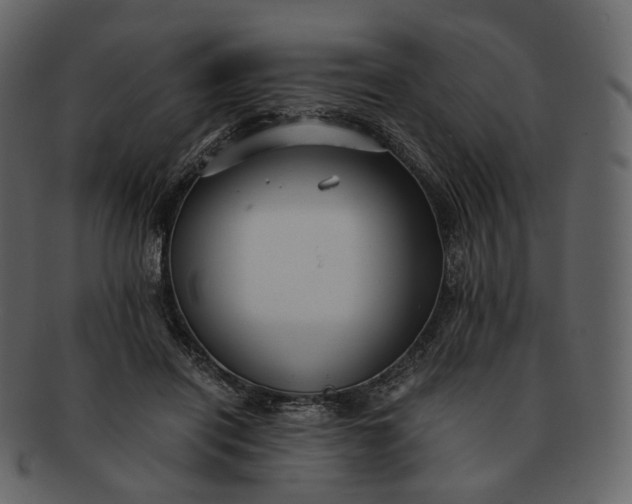 X0000092310454200710051241