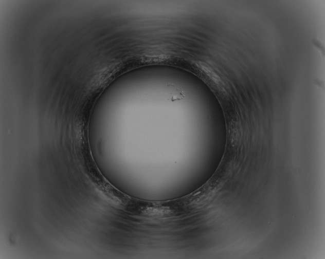 X0000092310455200710051241